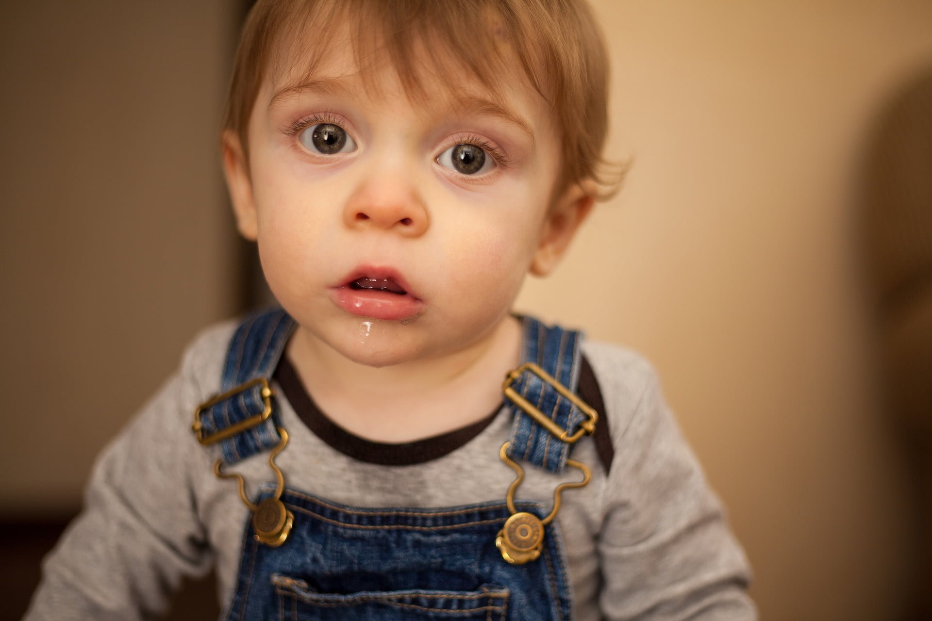 Sudocrem store drool rash